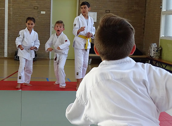 Zelfverdedigingssport kind - Mushinkan Aikidovereniging