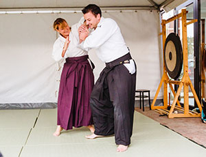 Mushinkan Aikido