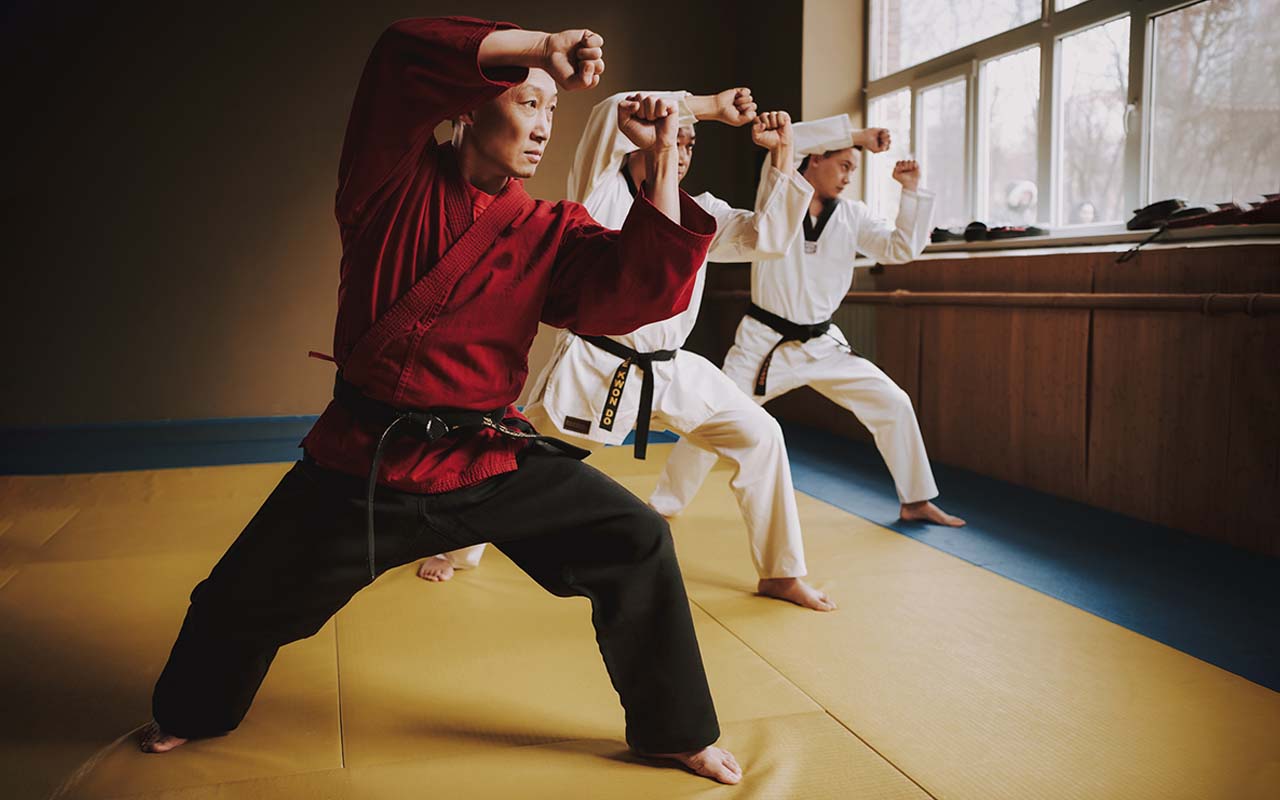 Vechtsport Kungfu | Mushinkan