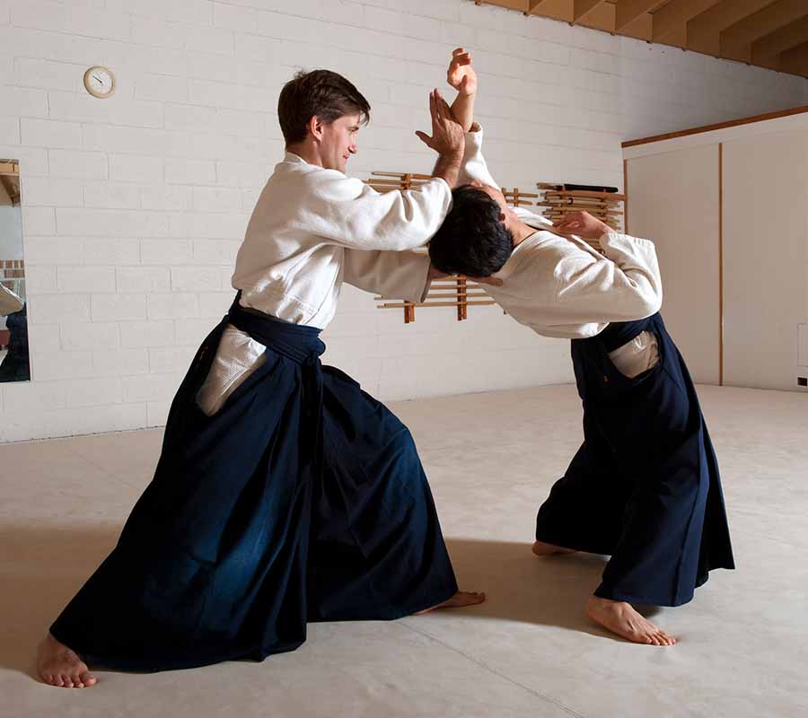 Aikido Mushinkan